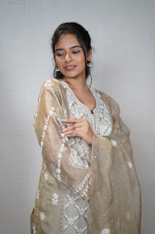 Blue Bronze Organza Chikankari Set