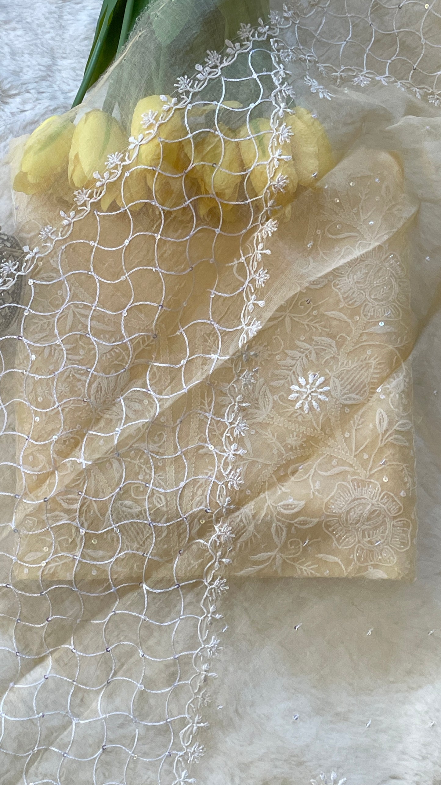 Organza Chikankari Suit Set