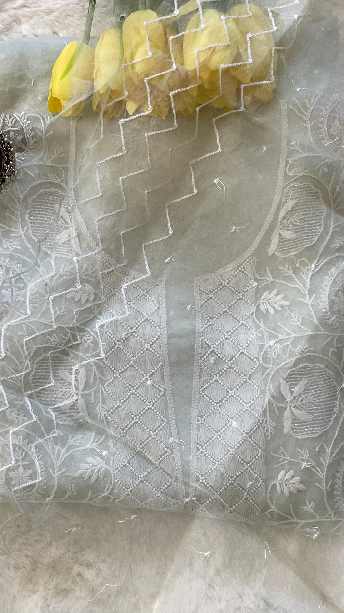 Organza Chikankari Suit Set