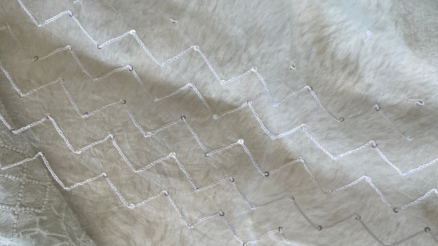 Organza Chikankari Unstitched Suit Set