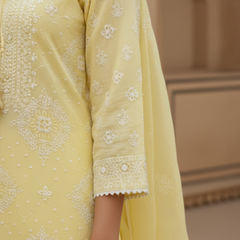 Semistitched Chikankari Mulchanderi With Mukaish Work Suit Set