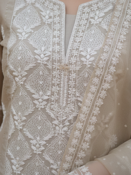 Blue and Bronze Organza Semistitched Chikankari Kurta Dupatta Set