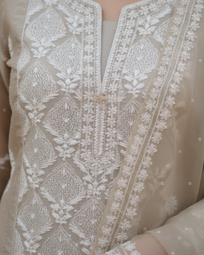 Blue and Bronze Organza Semistitched Chikankari Kurta Dupatta Set