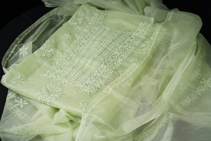 Pastel Green Organza Chikankari Unstitched Suit Set