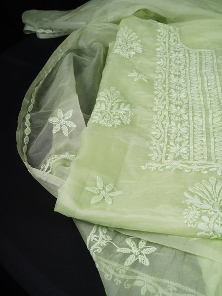 Pastel Green Organza Chikankari Unstitched Suit Set