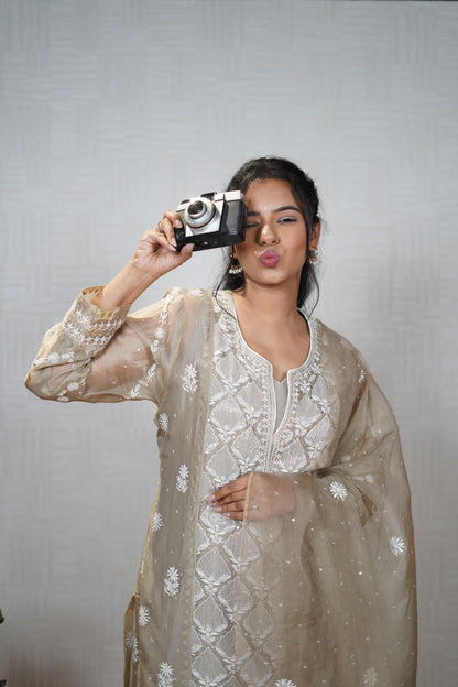 Blue Bronze Organza Chikankari Set