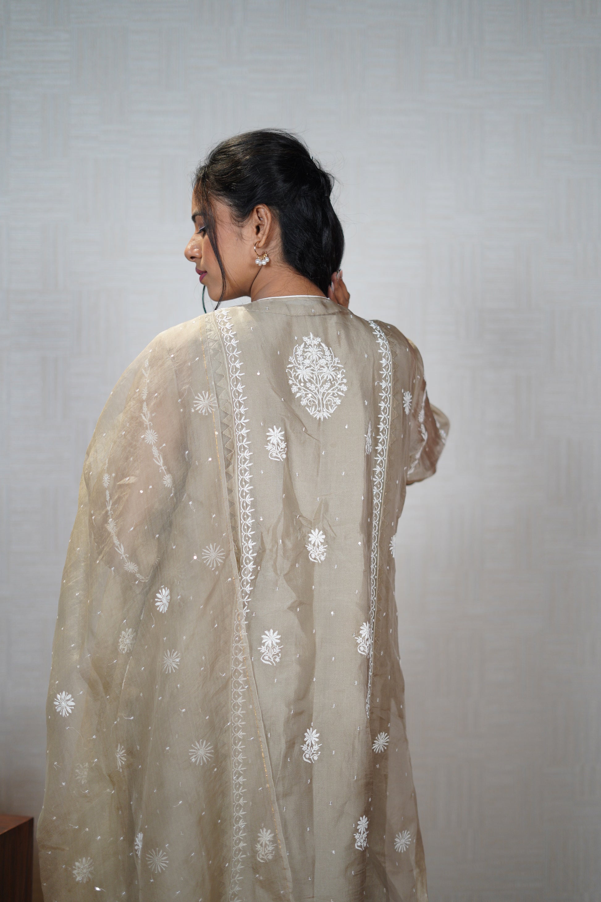 Blue Bronze Organza Chikankari Set