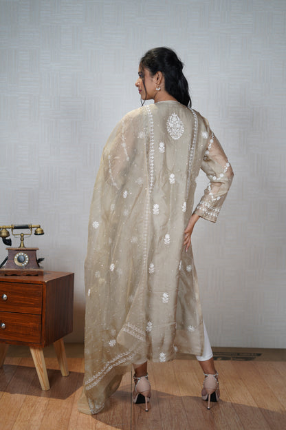 Blue Bronze Organza Chikankari Set