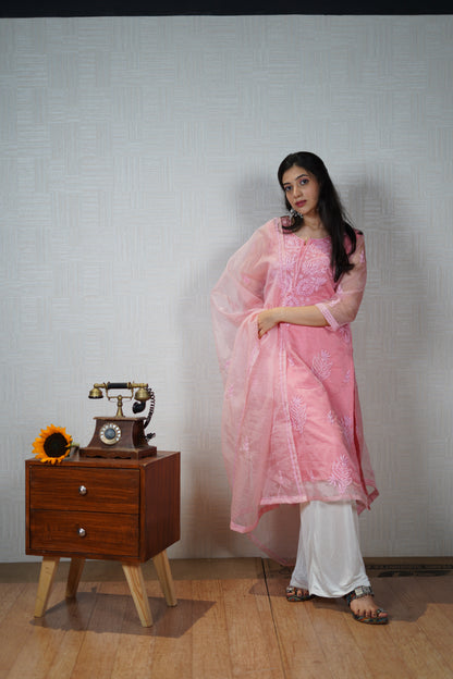 Pink and Blue Organza Chikankari Unstitched Suit Set