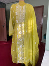 Light Green Chikankari Suit Set