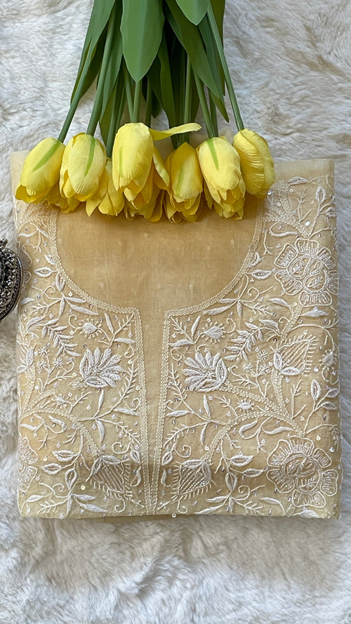 Organza Chikankari Suit Set