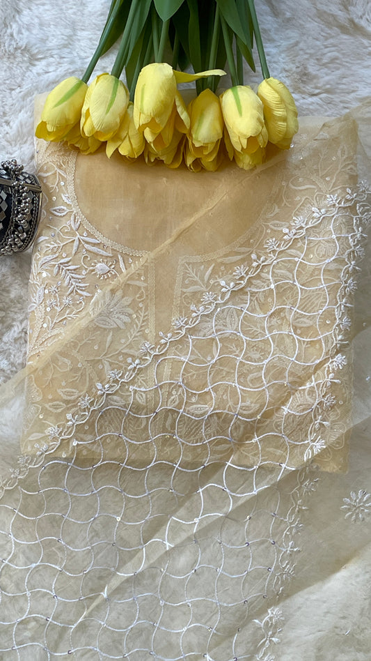 Organza Chikankari Suit Set