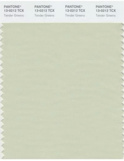 Pantone Tender Green Tissue Semistitched Chikankari Suit Set