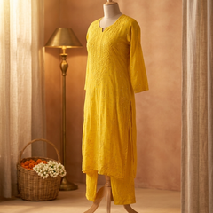 Chanderi Banarasi Butti Chikankari Co-ord Set